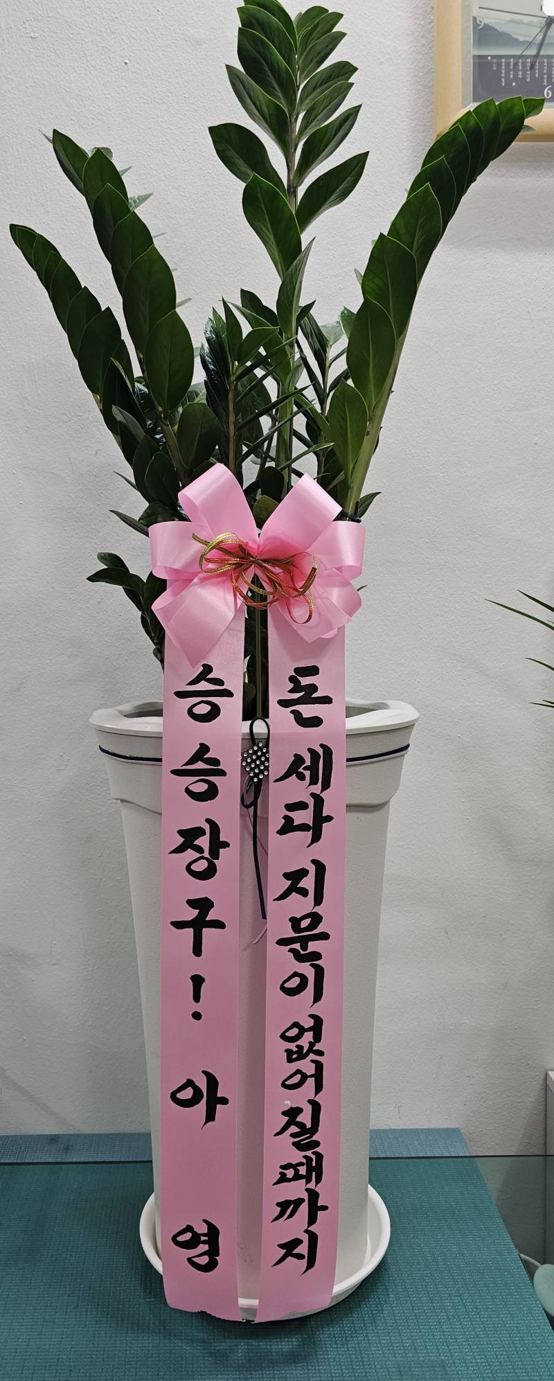 업로드 이미지