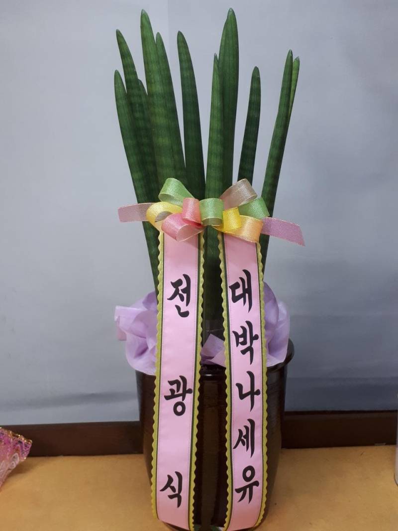업로드 이미지