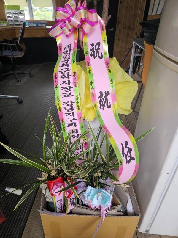업로드 이미지