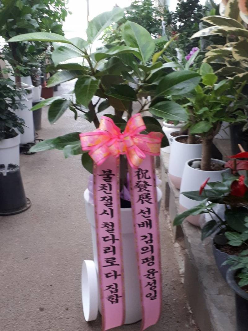 업로드 이미지
