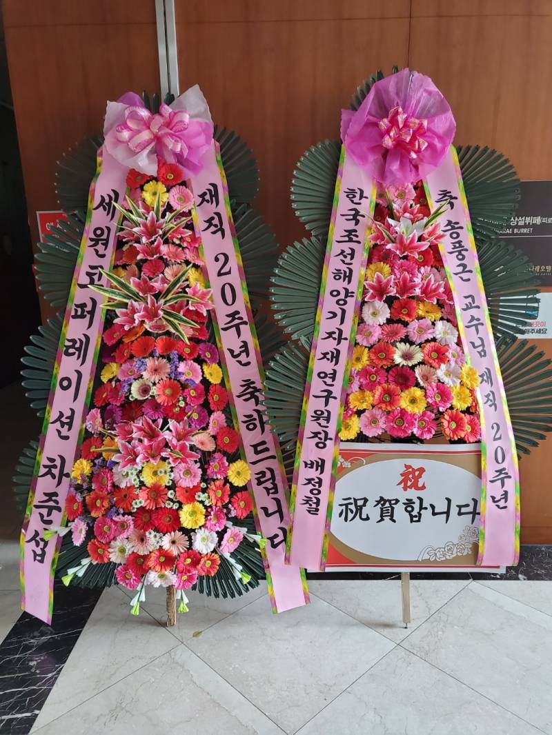 업로드 이미지