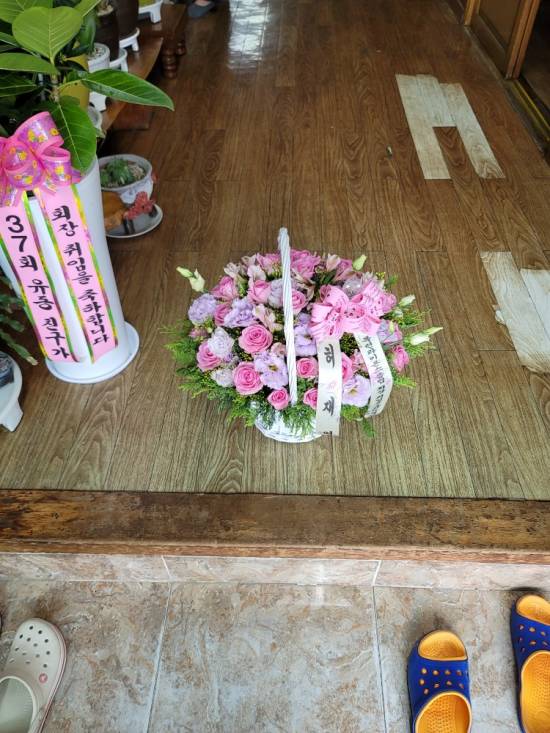 업로드 이미지