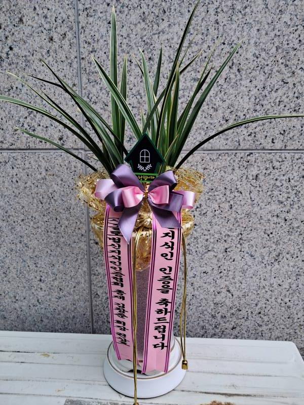 업로드 이미지