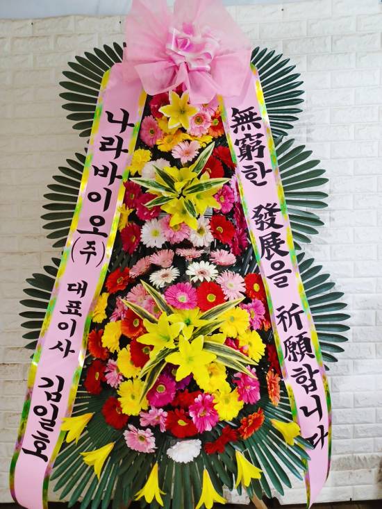업로드 이미지