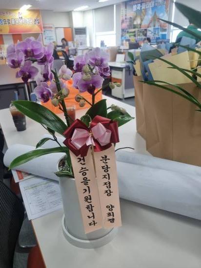 업로드 이미지