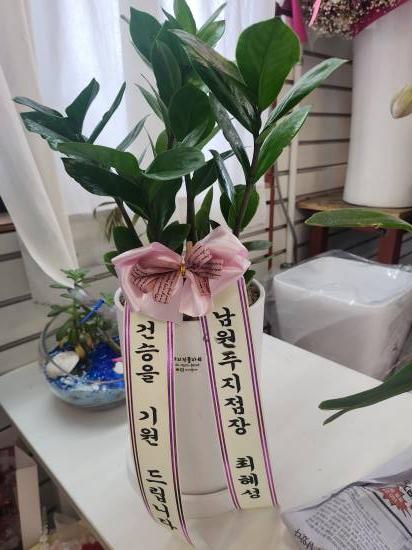 업로드 이미지