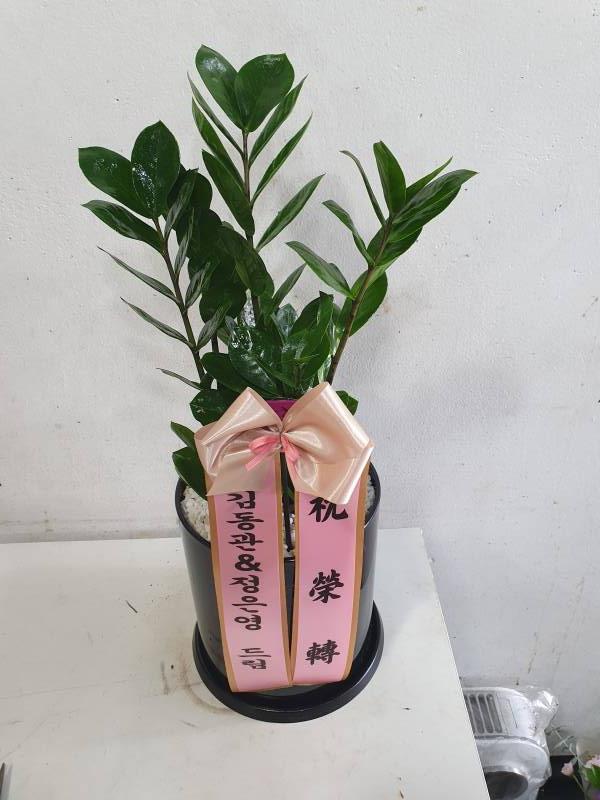 업로드 이미지