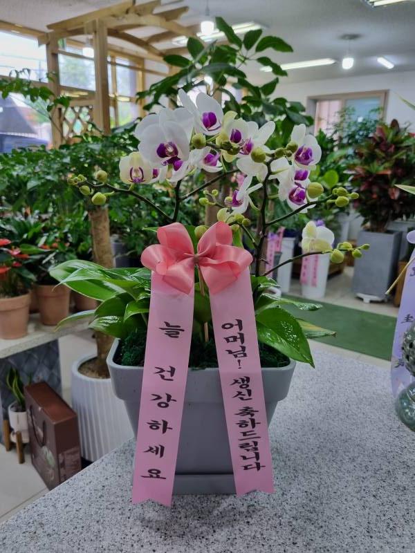 업로드 이미지