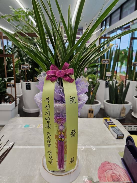 업로드 이미지