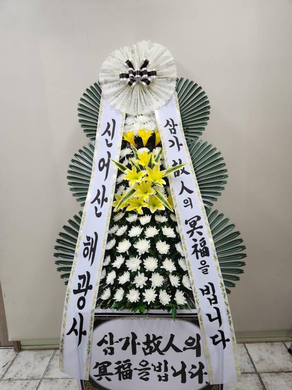 업로드 이미지
