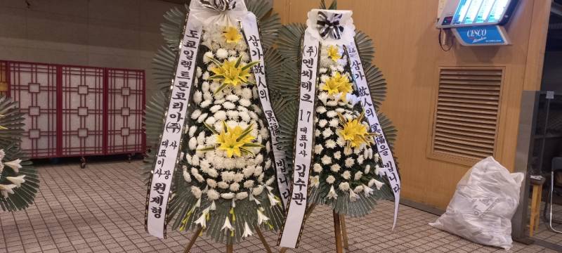 업로드 이미지