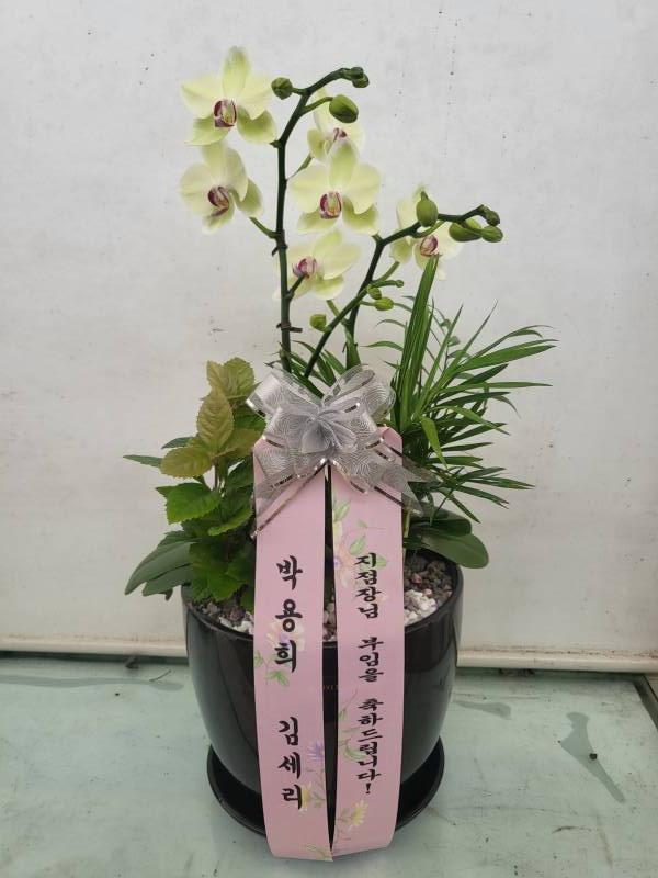 업로드 이미지