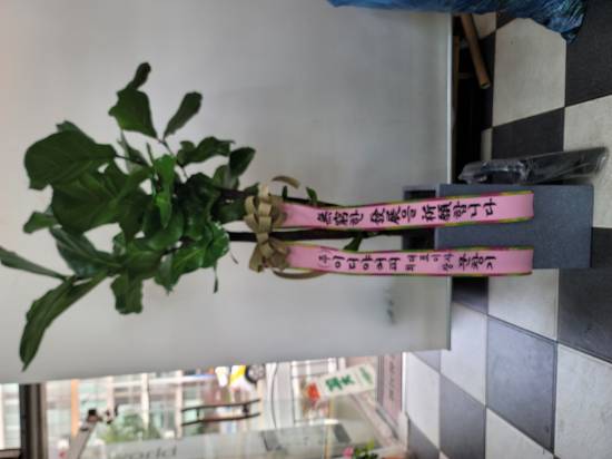 업로드 이미지