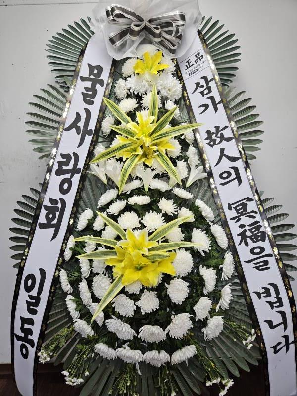 업로드 이미지