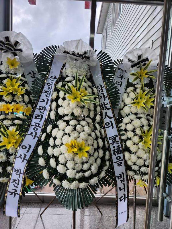 업로드 이미지