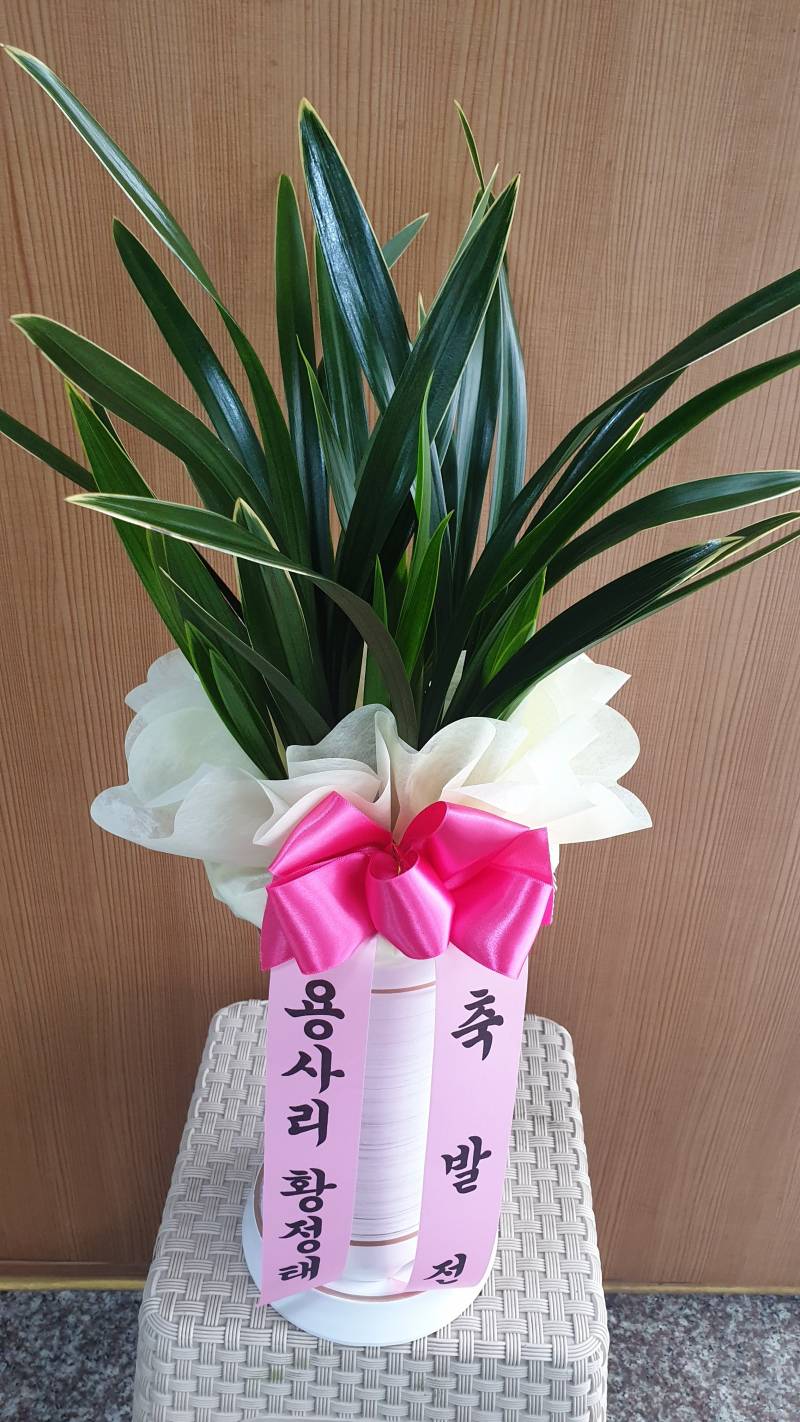 업로드 이미지