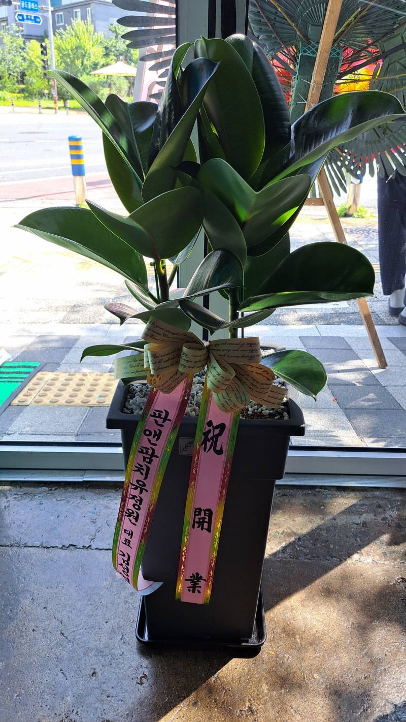 업로드 이미지