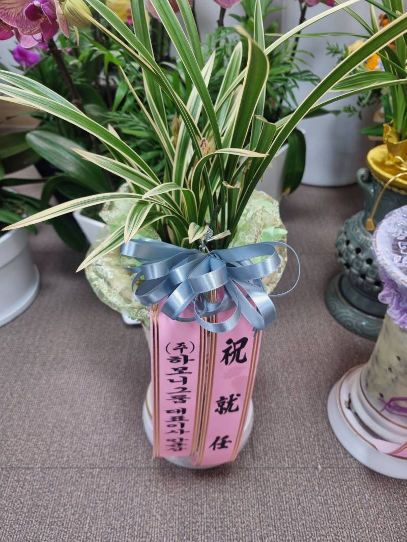 업로드 이미지