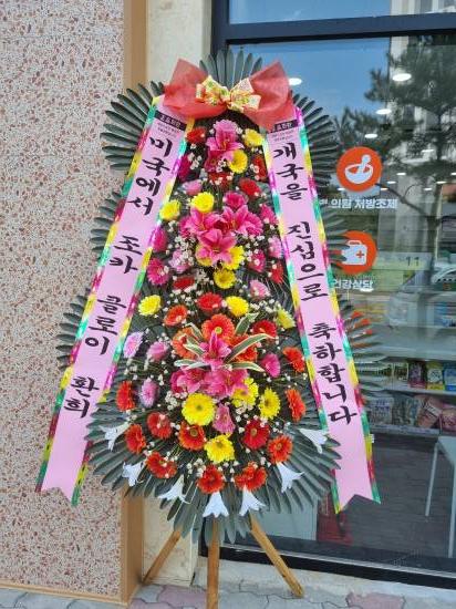 업로드 이미지
