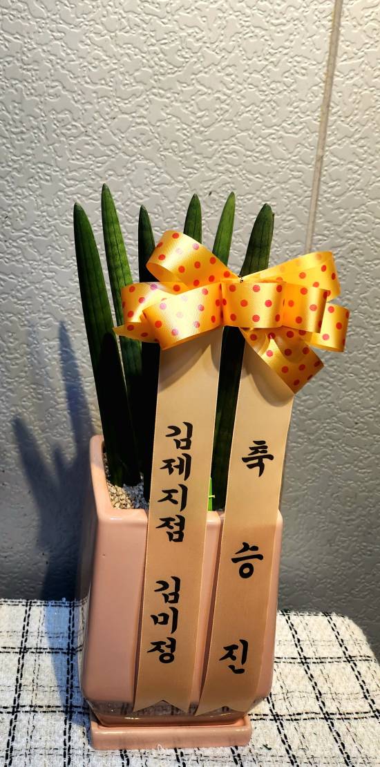 업로드 이미지