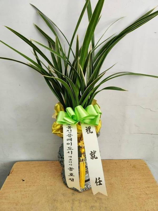 업로드 이미지