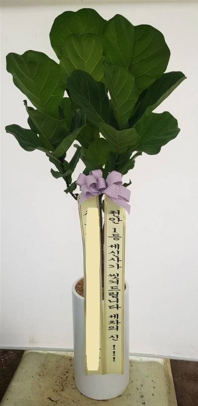 배송사진
