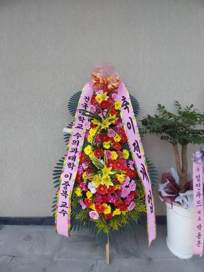 업로드 이미지