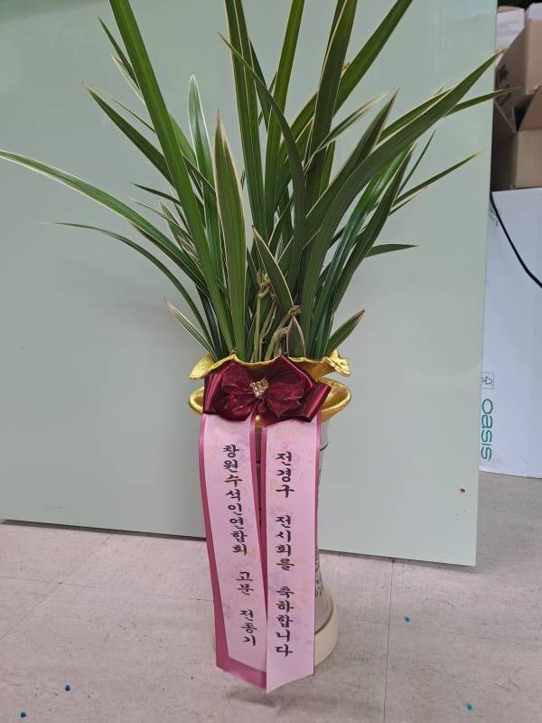 업로드 이미지
