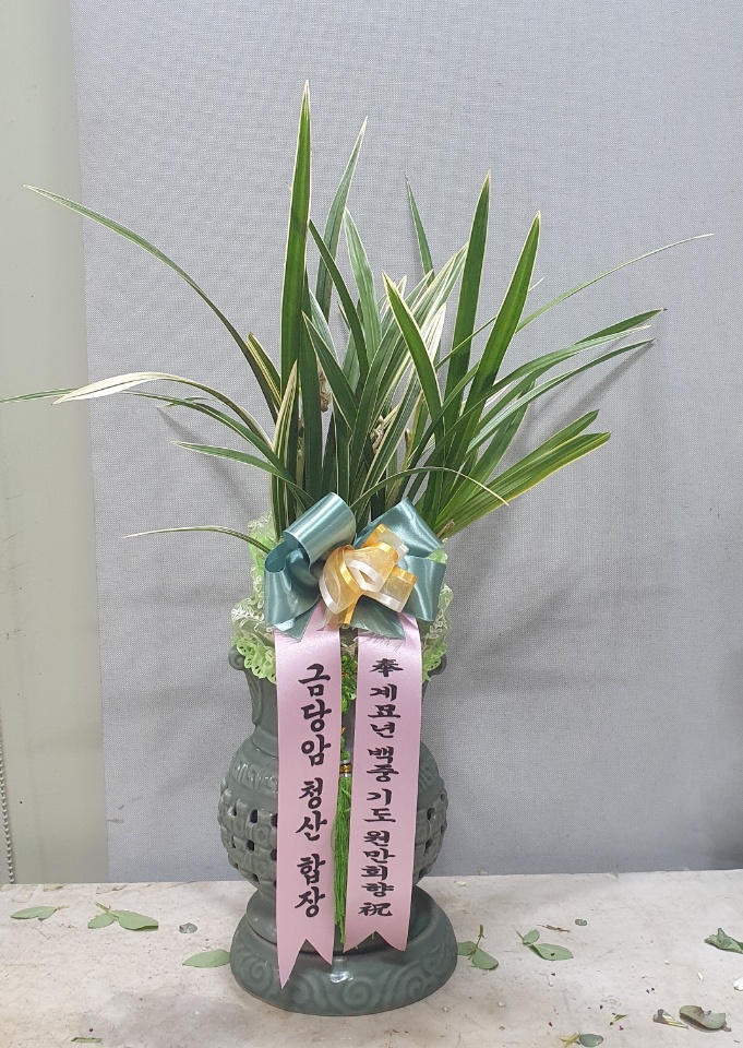 업로드 이미지