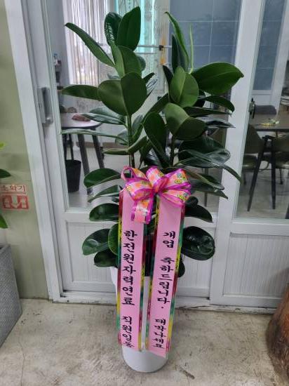 업로드 이미지