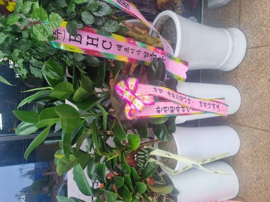 업로드 이미지