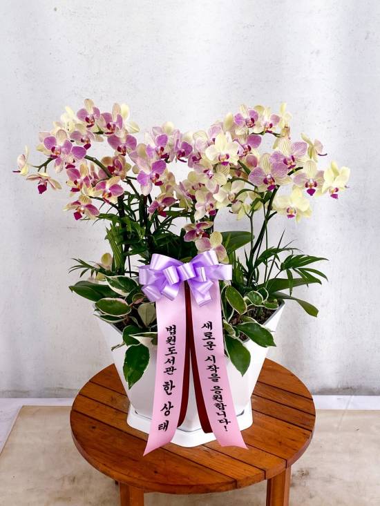 업로드 이미지
