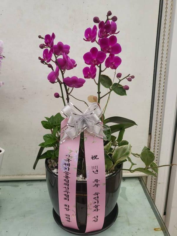 업로드 이미지