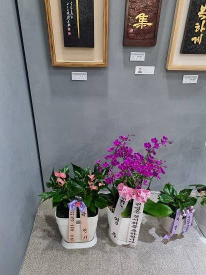 업로드 이미지