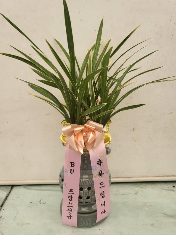 업로드 이미지