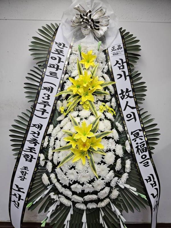업로드 이미지