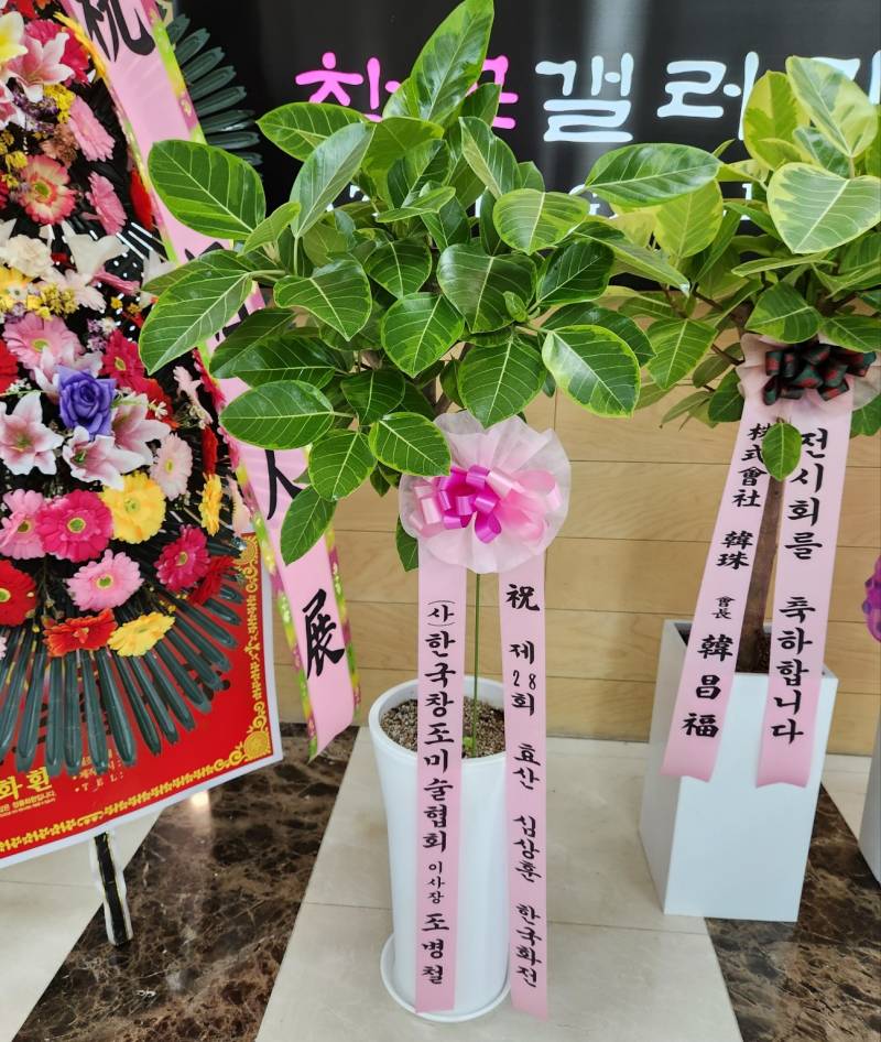 업로드 이미지