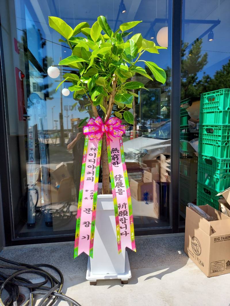 업로드 이미지