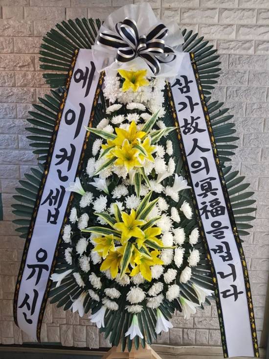 업로드 이미지