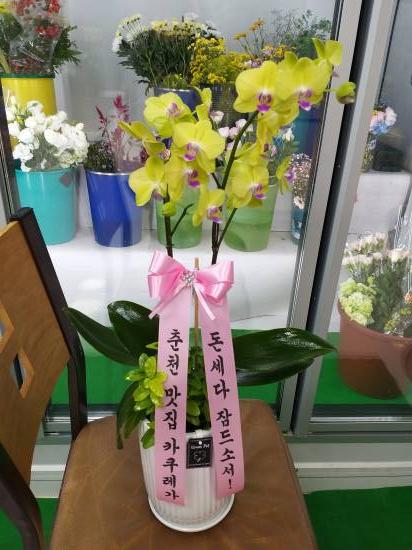 업로드 이미지