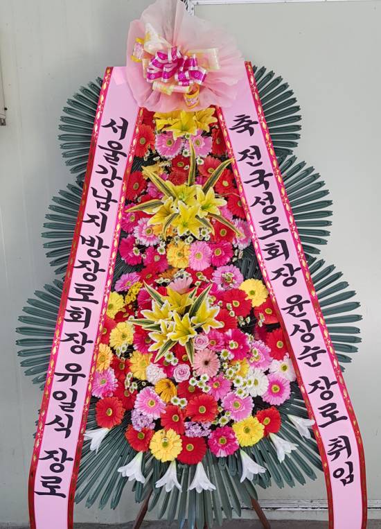 업로드 이미지