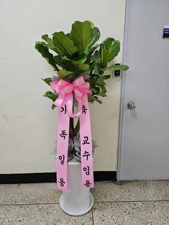 업로드 이미지