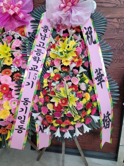 업로드 이미지