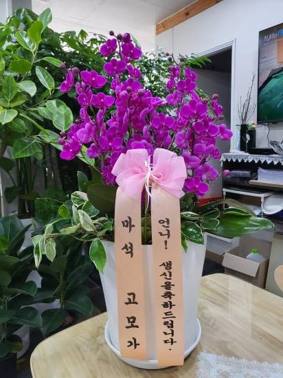 업로드 이미지