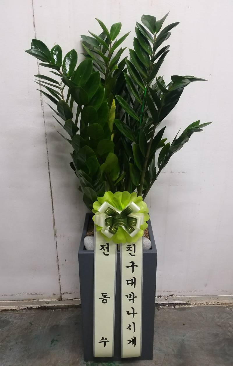 업로드 이미지