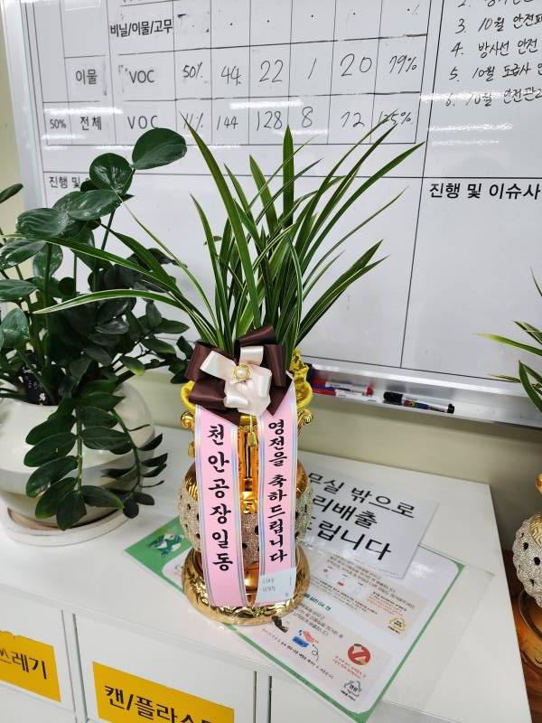 업로드 이미지