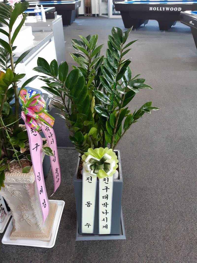 업로드 이미지