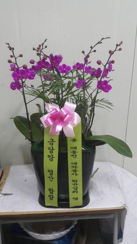 업로드 이미지