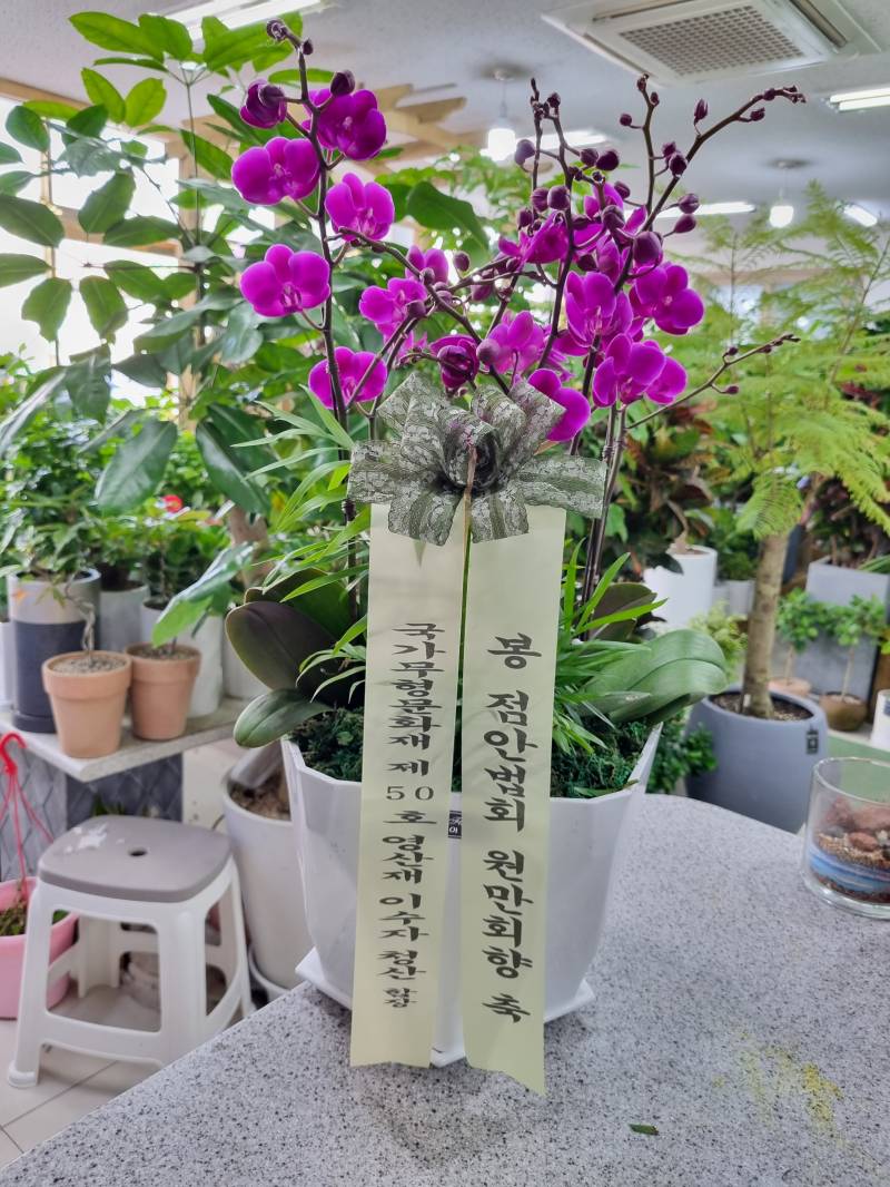 업로드 이미지