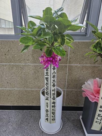 업로드 이미지